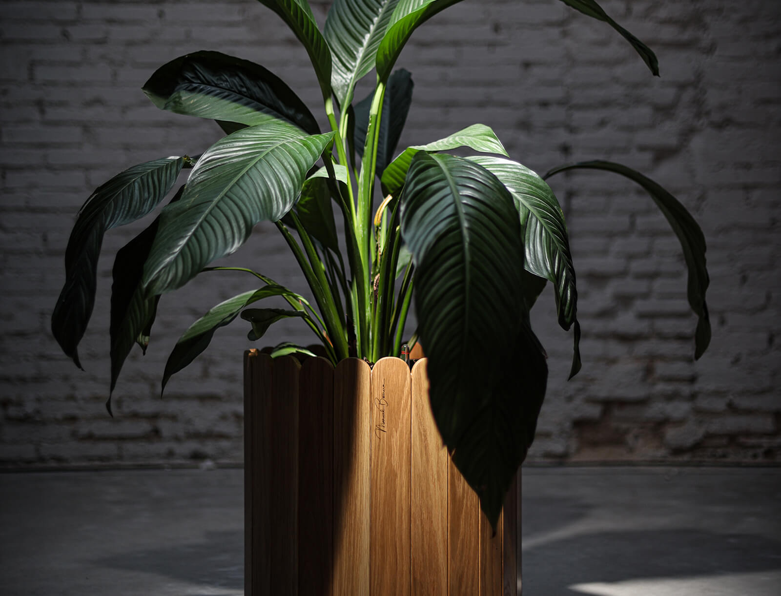 Chase Stokes Rocks ZenniseFurniture: Elevating Styles toNew Heights縮略圖